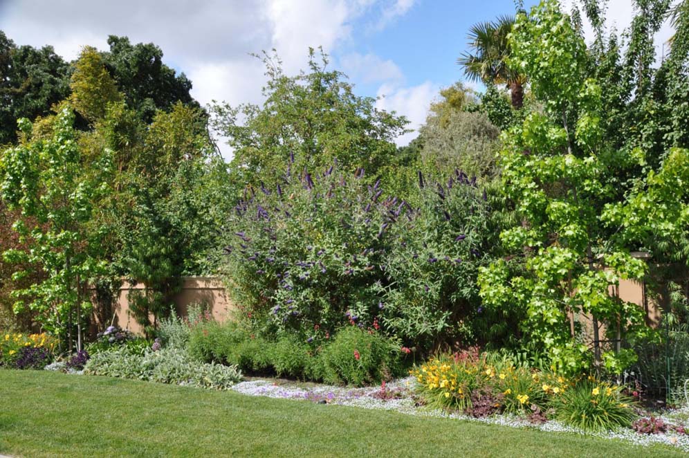 Lush and Lovely Back Wall Planting