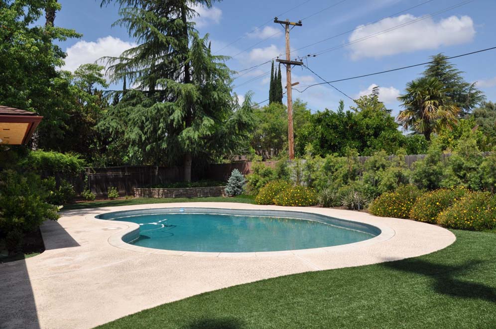 View of Pool with Artificial Grass