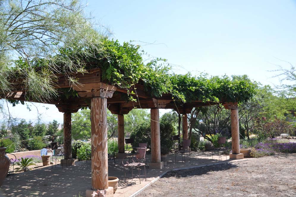 Wisteria Covered Arbor