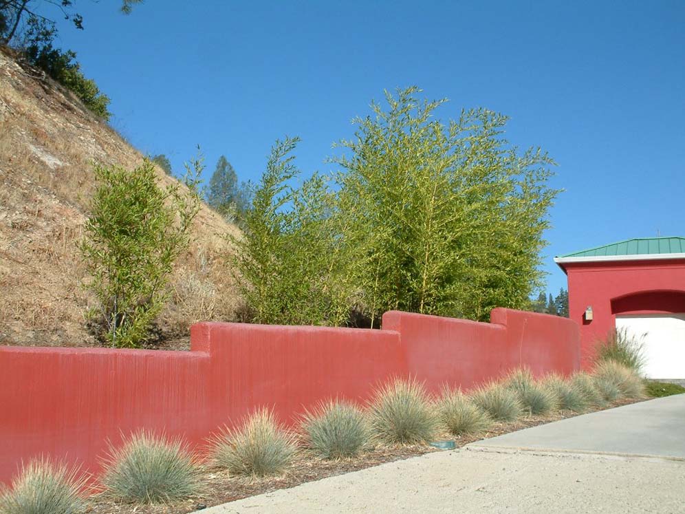 Red Concrete Wall