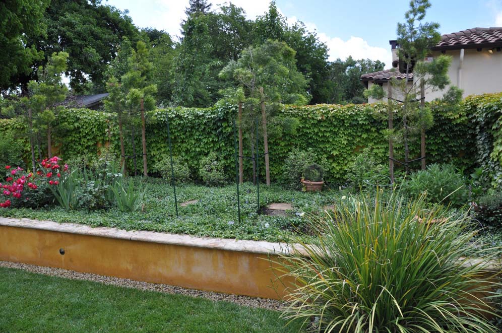 Sea of Green Back Yard Raised Planter