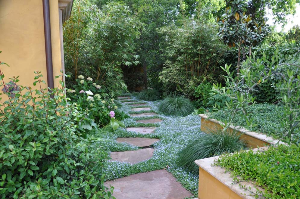 Sea of Green Steps Along the Path