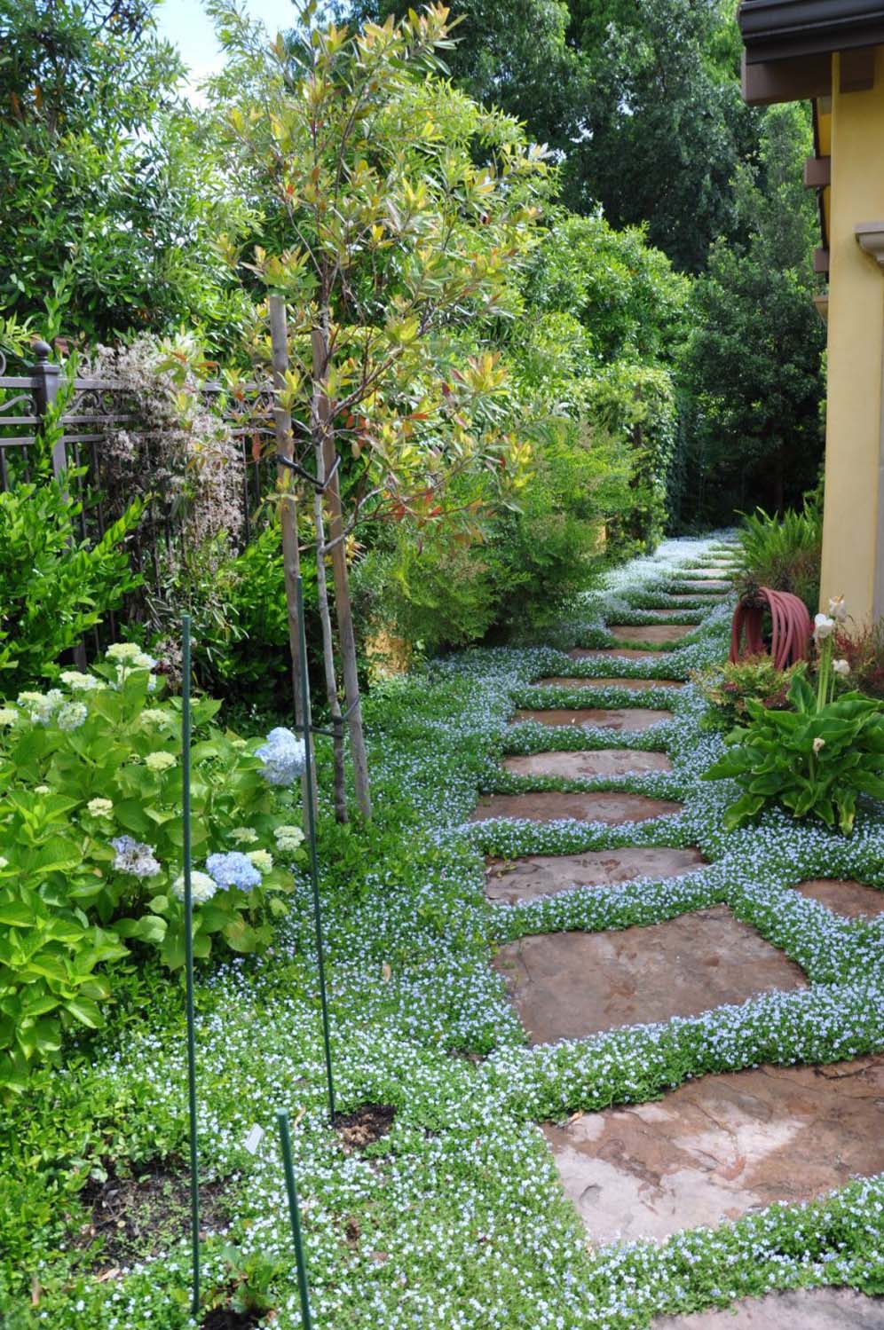 Sea of Green Curves