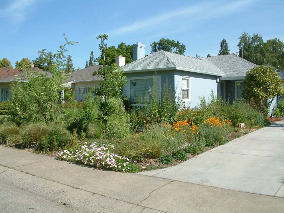 Downtown Native Garden