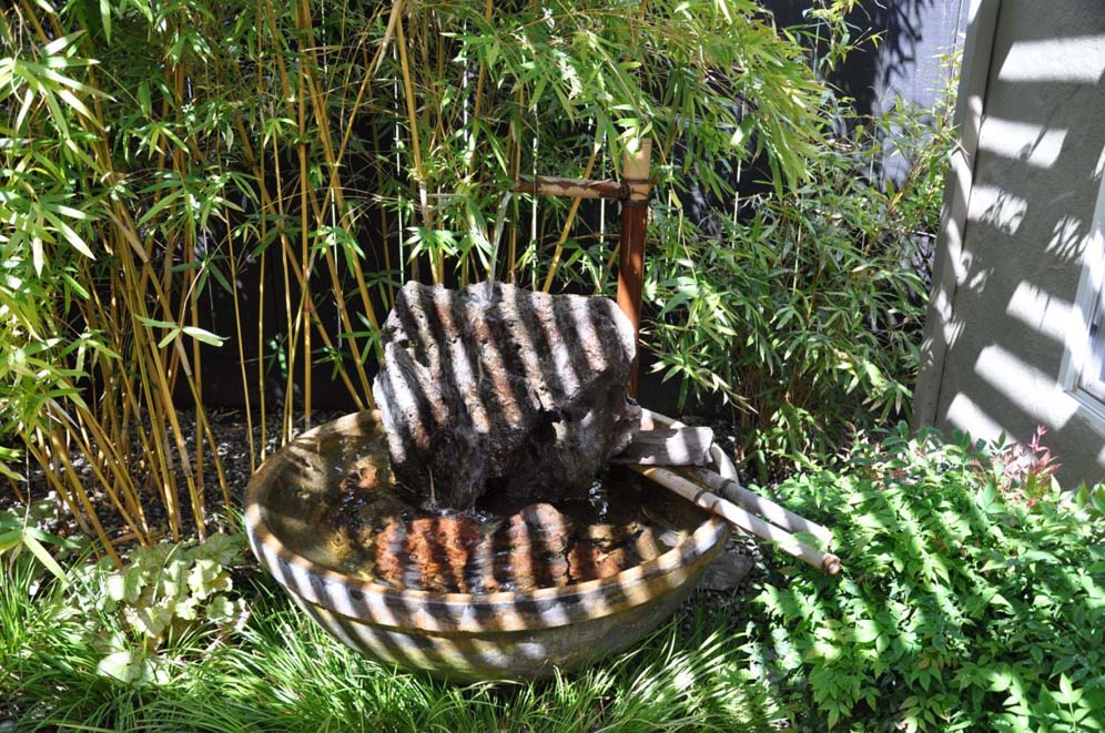 Shade Garden Dappled Light