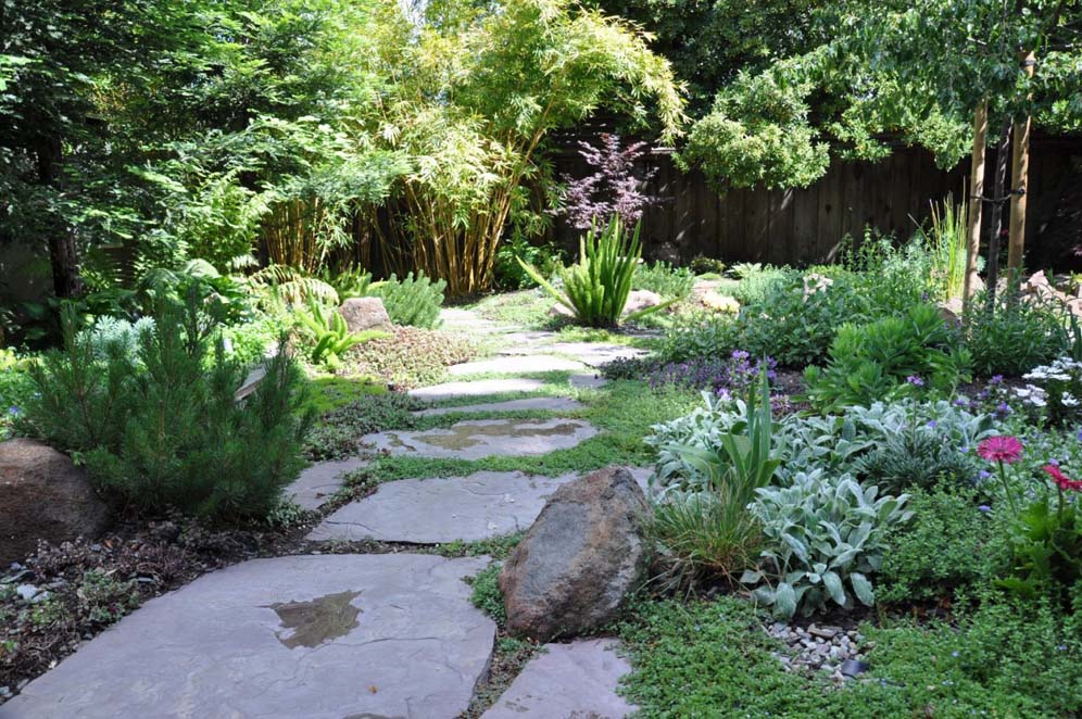 Shade Garden Back Yard