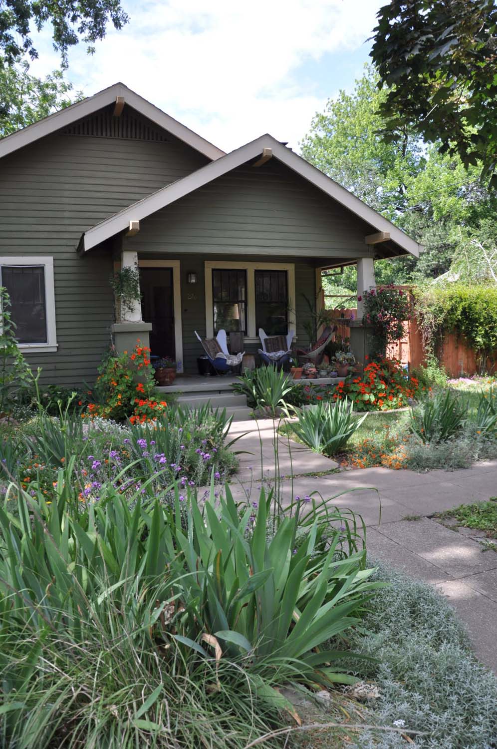 Flower Garden View throught the Irises