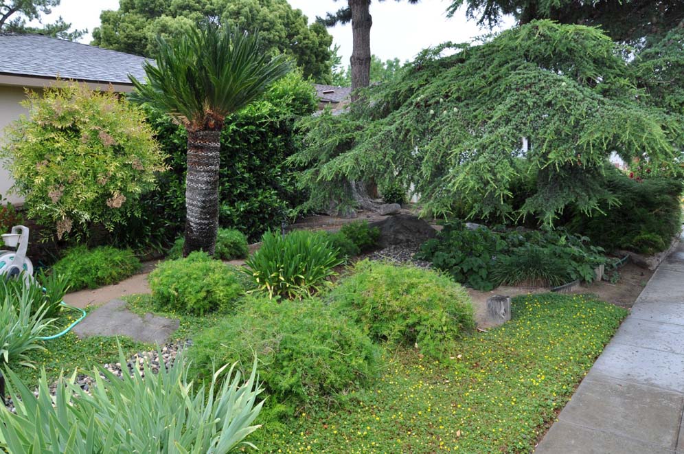 Majestic Garden
