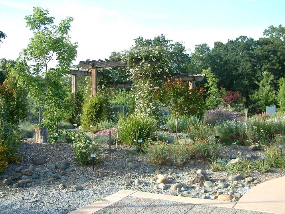 Looking at the Gazebo