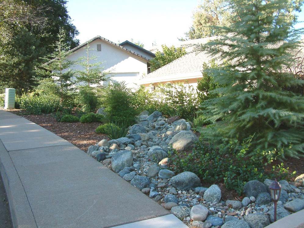 Waterwise Sidewalk Planting