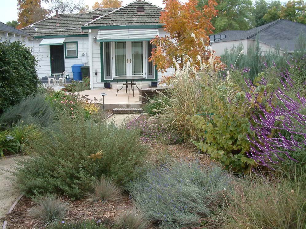 Backyard Planting Combination in Fall